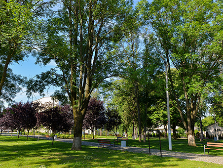 /assets/img/regiuni/Vest/proiecte/Parcul Pescarus Bocsa.jpg